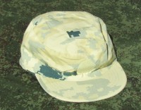 alb1caps.jpg (5071 bytes)