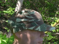 ctshbs.jpg (5381 bytes)