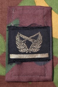 fry16s.jpg (49136 bytes)