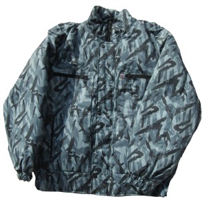 r71js.jpg (5870 bytes)