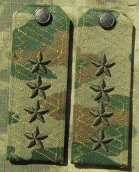 rgsb29s.jpg (45444 bytes)