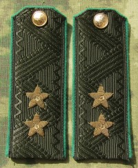 rgsb9s.jpg (67591 bytes)