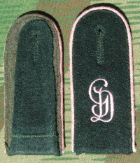 rse243dgs.jpg (3278 bytes)