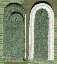 rse332bs.jpg (3278 bytes)