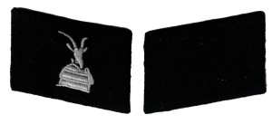 rse570s.jpg (2852 bytes)