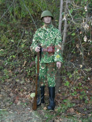 scs6s.jpg (5930 bytes)