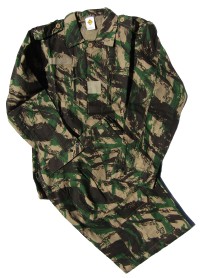 sen2.jpg (49974 bytes)